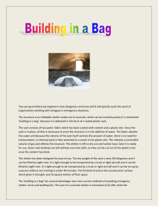 Building in a Bag Two young architectural engineers have designed