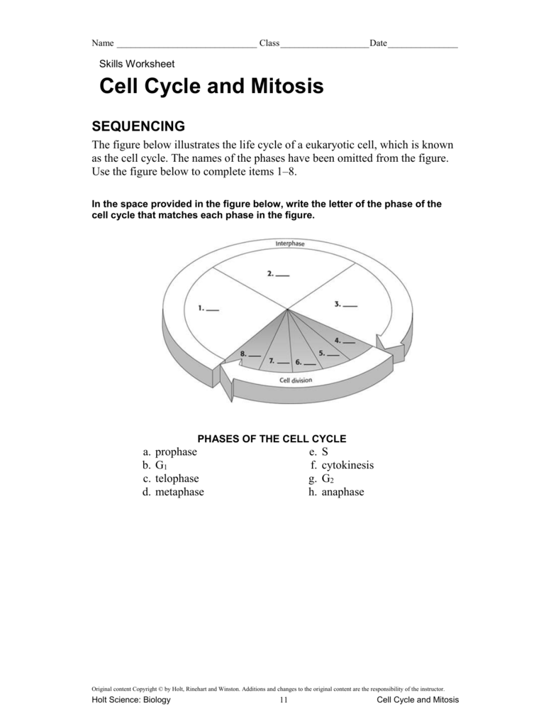 Cell Cycle and Mitosis SEQUENCING With Regard To Cell Cycle And Mitosis Worksheet