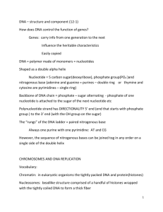 DNA protein syn