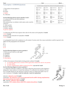 Name: : :___ Transcription + CODONS Questions 1. The product of