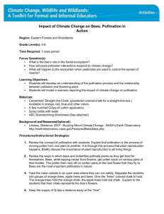 Microsoft Word - Eastern Forests and Woodlands A1 _6.9.09_.doc