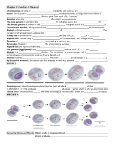 Ch11-4 MeiosisNotes