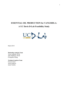 D-Lab_Nepal_Essential_Oils_Feasibility_Study