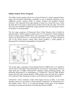 Indian Nuclear Power Program