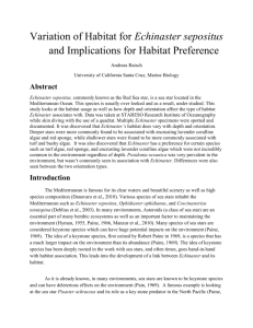 Variation of Habitat for Echinaster sepositus and Implications for