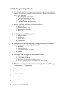 Grade 11 Test questions practice _ SL DNA is made up of three