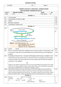 marking scheme