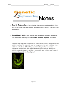 Genetic Engineering Notes