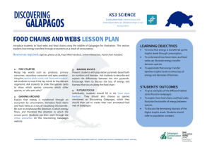1B2 Food Chains and Webs MSWord Lesson Plan Science KS3