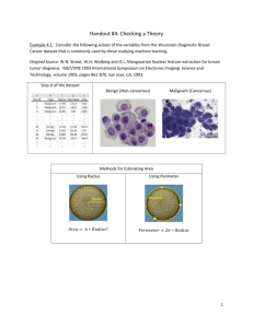 Checking a Theory - Winona State University