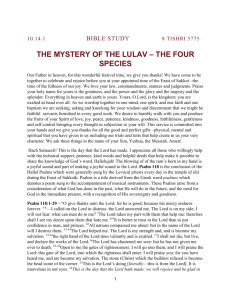 The Mystery of the Lulav