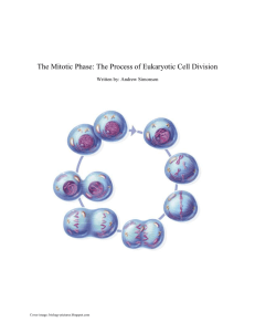 The Process of Eukaryotic Cell Division