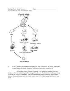 Ecology Study Guide (food webs) Answers