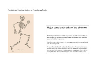 Foundations of Functional Anatomy for Physiotherapy Practice Major