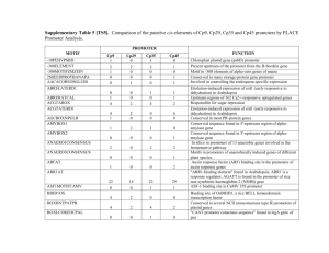 Supplementary Table 5 [TS5]. Comparison of the putative cis
