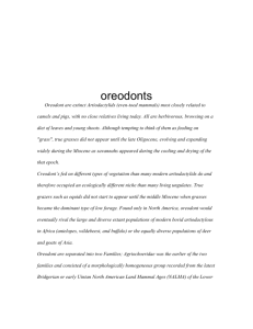 oreodonts - EEOS260-f12-Poynton