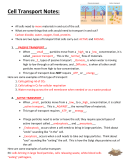 Passive and Active Transport Name