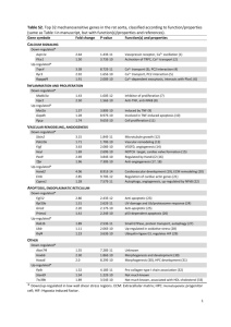 Table S2. Top 32 mechanosensitive genes in the rat aorta, classified