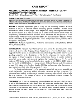 meaning of your life essay uk