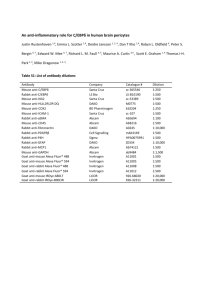 Table S1: List of antibody dilutions