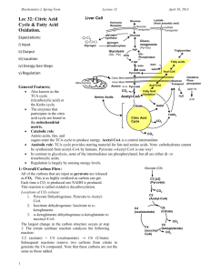 Lec 32: Citric Acid Cycle & Fatty Acid Oxidation.