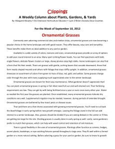 For the Week of September 10, 2012 Ornamental Grasses