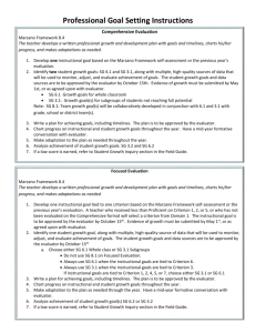 Professional Goal Instructions and Worksheet