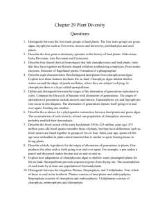 Chapter 29 Plant Diversity Questions Distinguish between the four