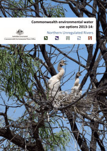 Commonwealth environmental water use options 2013