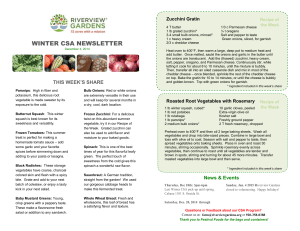 Winter CSA Week 3 - Riverview Gardens
