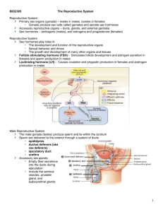 Reproductive