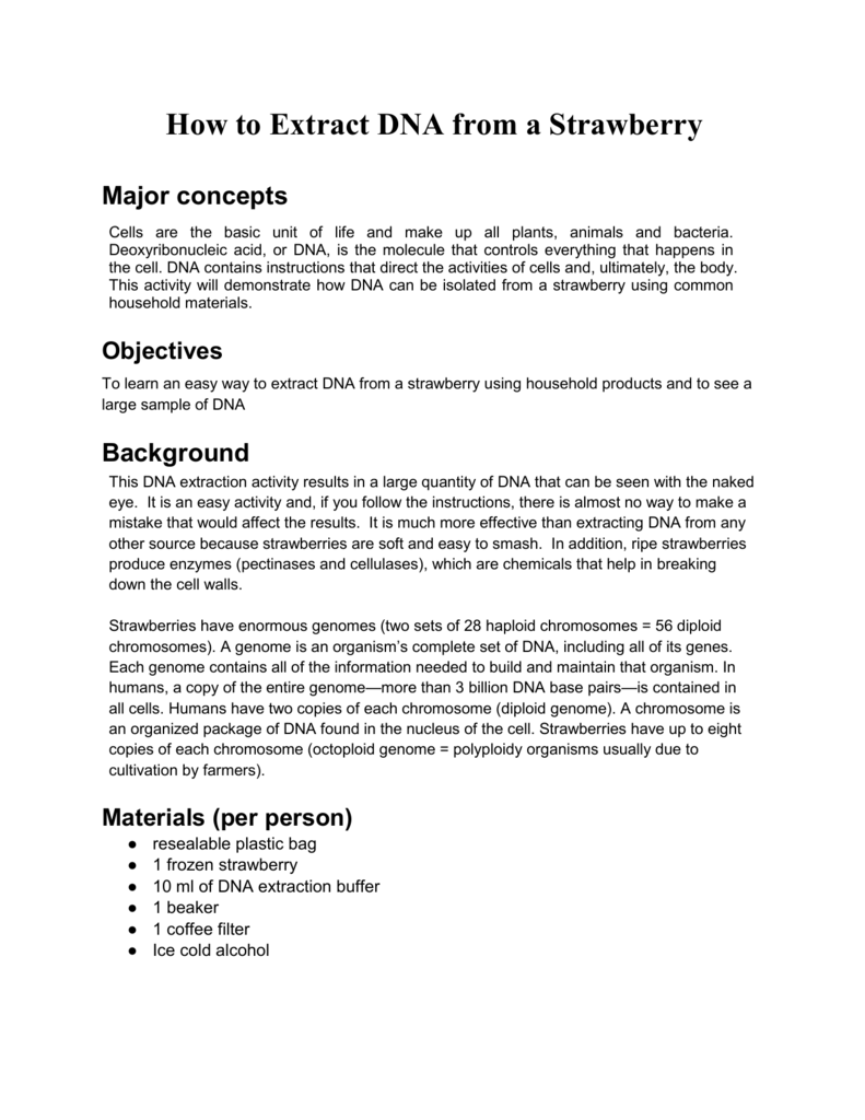 Dna Strawberry Extraction Lab Worksheet - Strawberry Dna ...