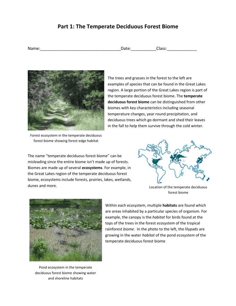 Part 1: The Temperate Deciduous Forest Biome