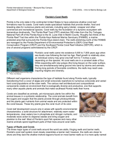 Florida Reef - FIU Faculty Websites