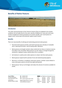 Benefits of Native Pastures (Accessible Word