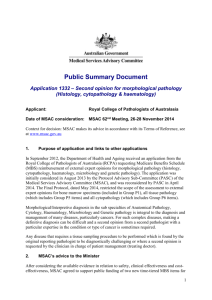 Public Summary Document (Word 608 KB)