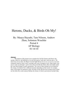 Distribution and Abundance of Herons, Ducks and Birds in the Ala