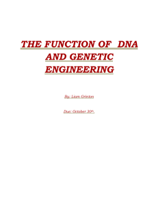 THE FUNCTION OF DNA AND GENETIC engineering 3