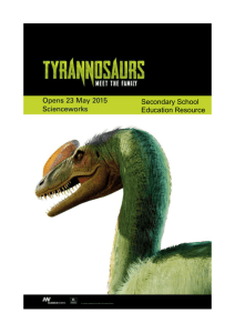 Tyrannosaurs featured in the exhibition