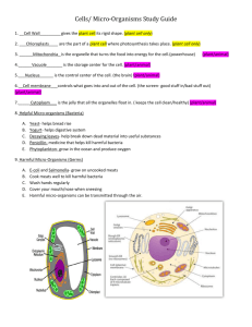 Cells/ Micro-Organisms Study Guide