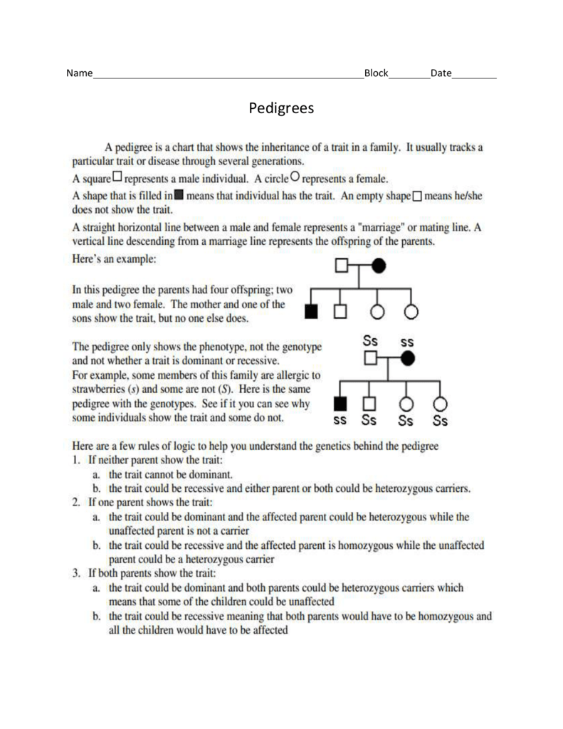 Pedigree Worksheet For Pedigree Worksheet Answer Key