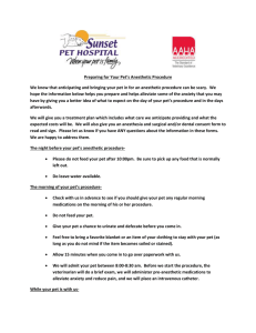 Preparing for your Pet`s Anesthetic Procedure