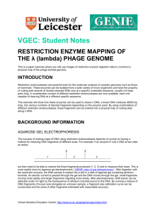 Restriction enzyme mapping of the lambda phage genome