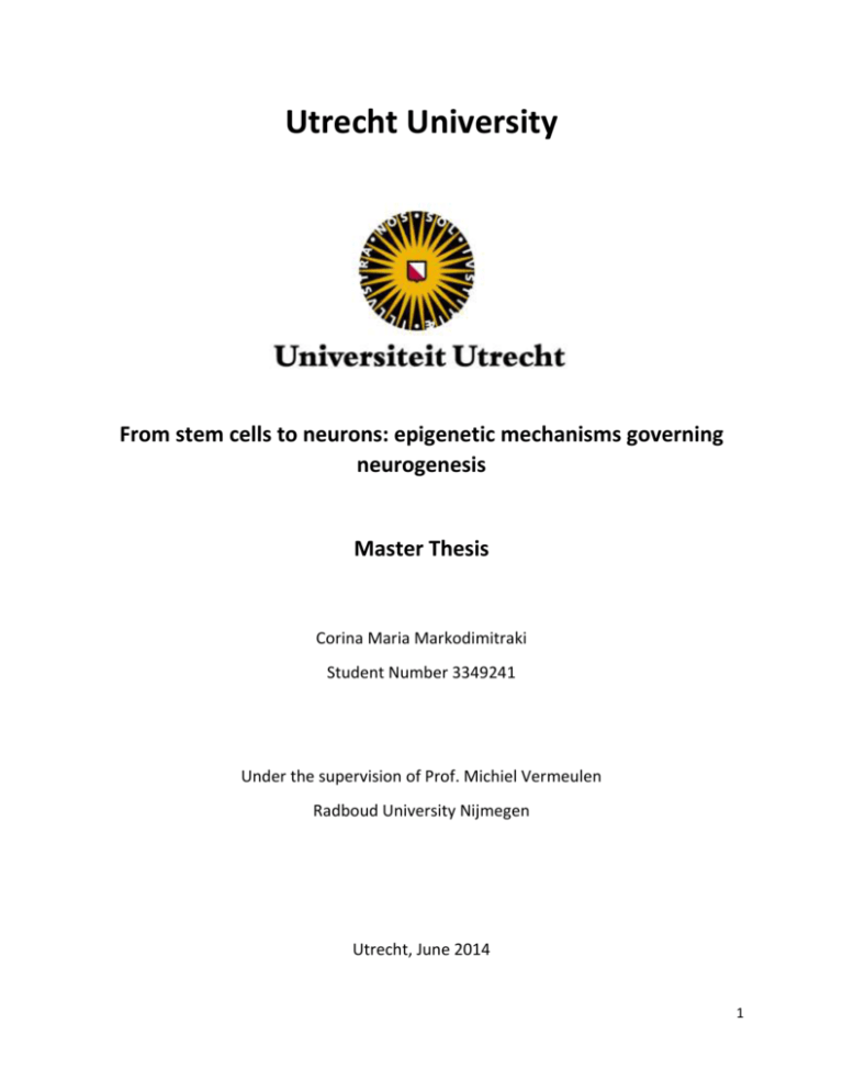 master thesis university utrecht