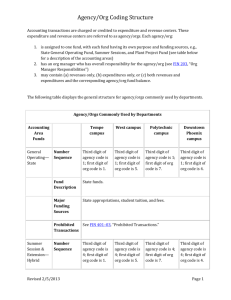 Agency/Org Coding Structure