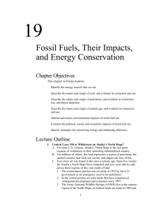 Chapter 19 - Fossil Fuels Outline