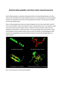 Antimicrobial peptides and their action towards bacteria