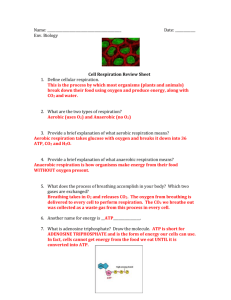 Name: Date: ______ Env. Biology Cell Respiration Review Sheet