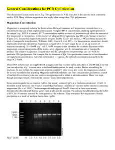 General Considerations for PCR Optimization