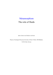 Metamorphism The role of fluids Bjørn Jamtveit and Haakon